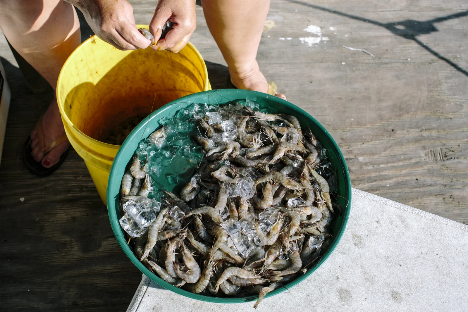 Widmer_SHRIMPING-21.jpg