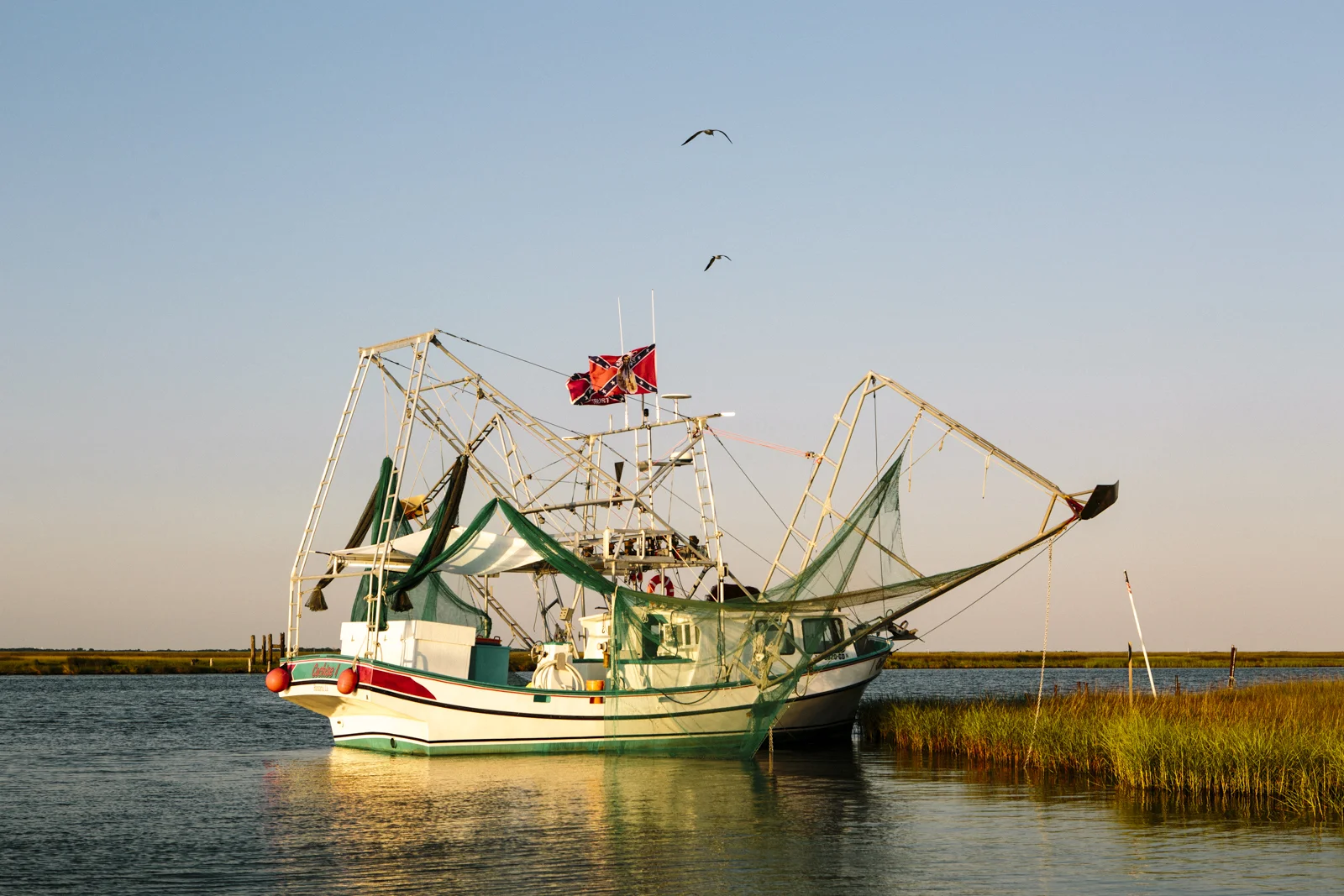 Widmer_SHRIMPING-26.jpg
