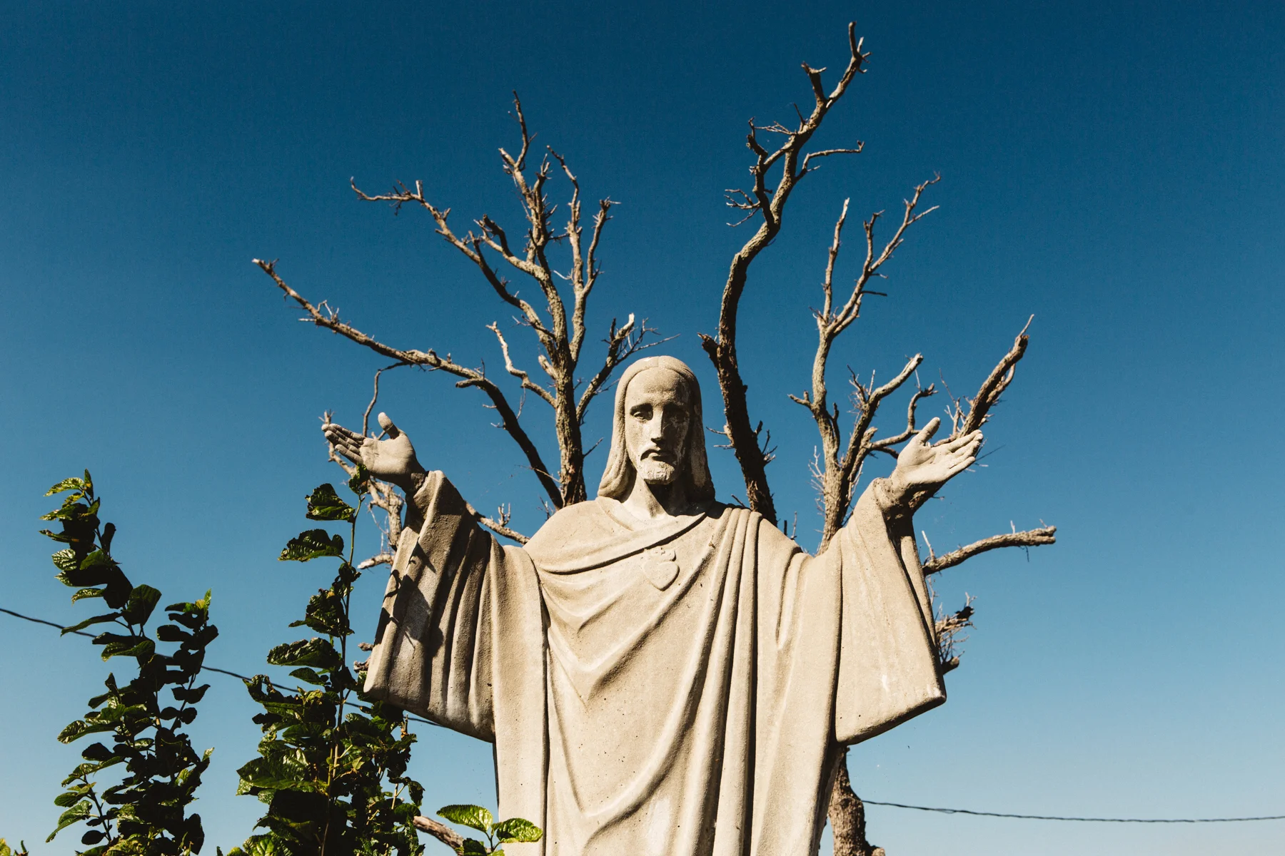 Widmer_TRUEDETECTIVE-1.jpg