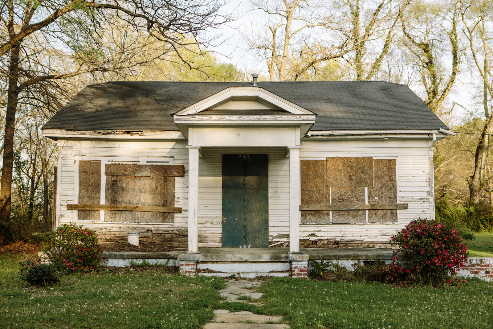 Widmer_JACKSON-2.jpg