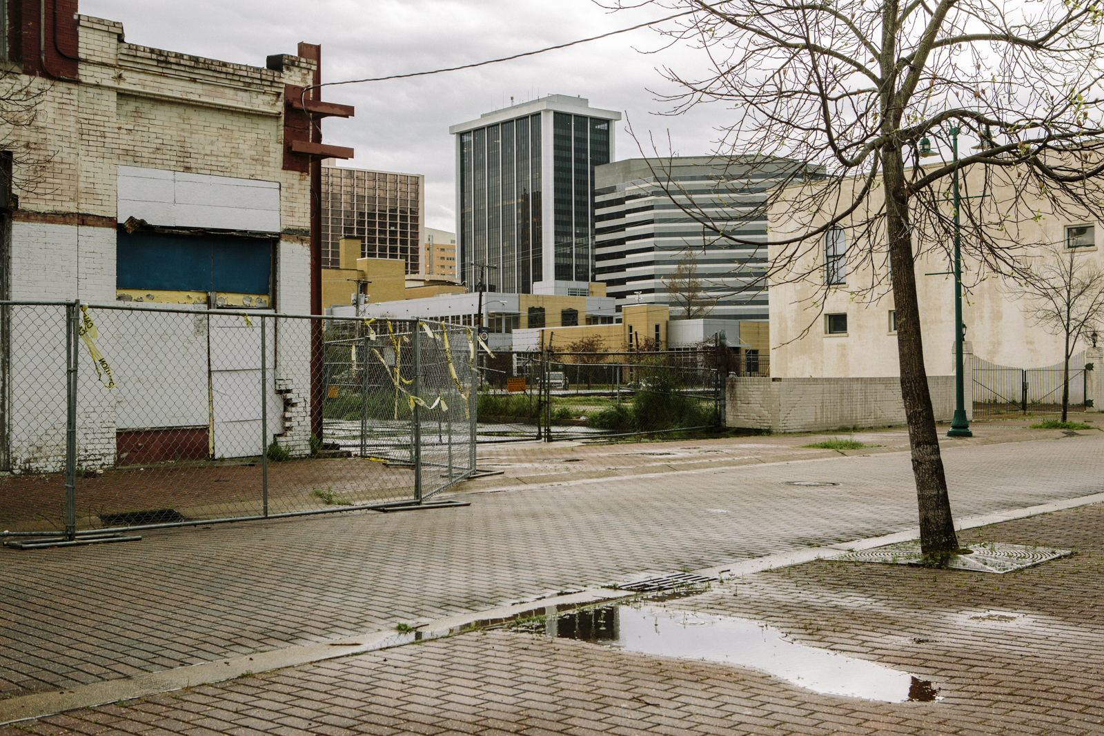 Widmer_JACKSON-19.jpg
