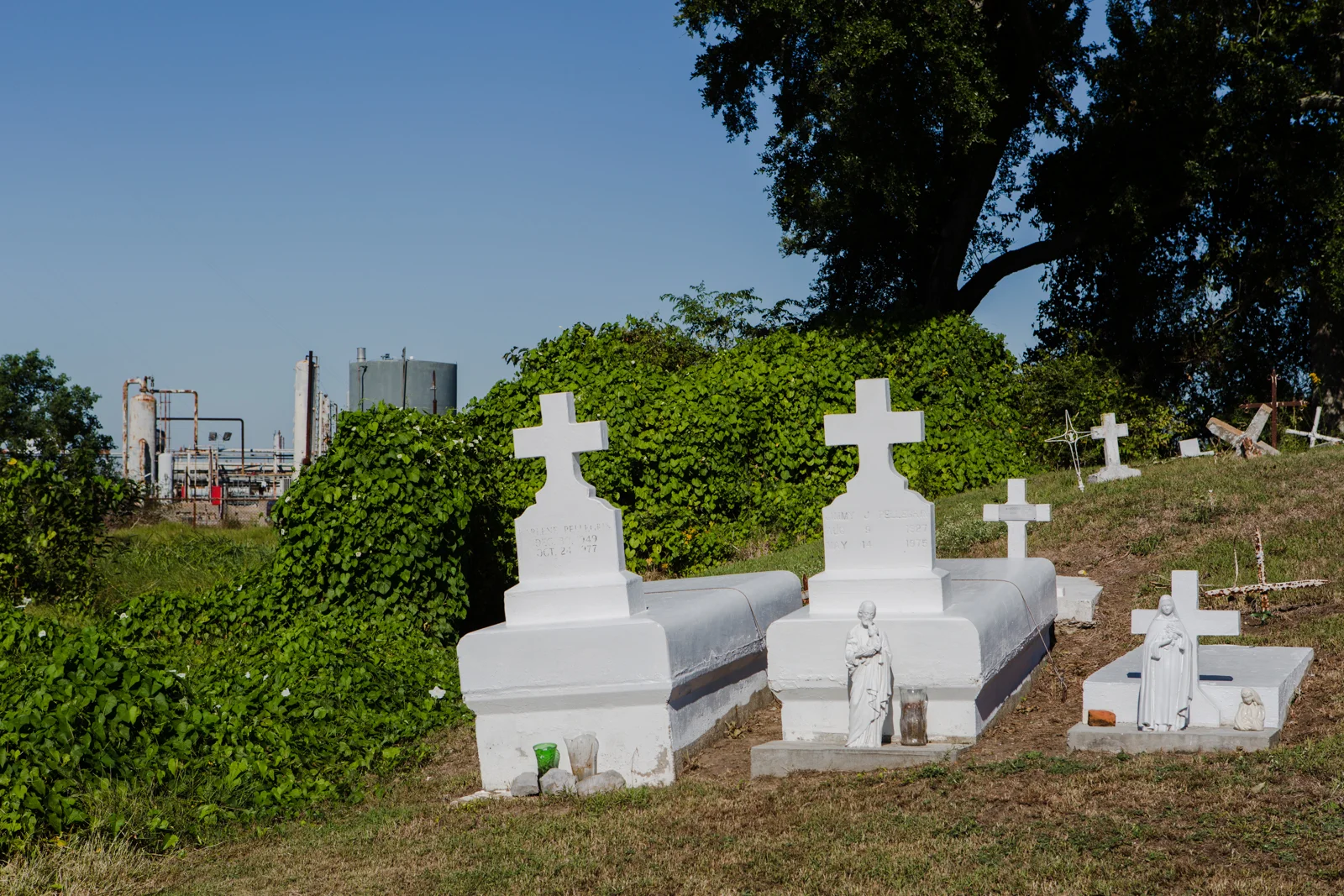 Widmer_TERREBONNE-18.jpg