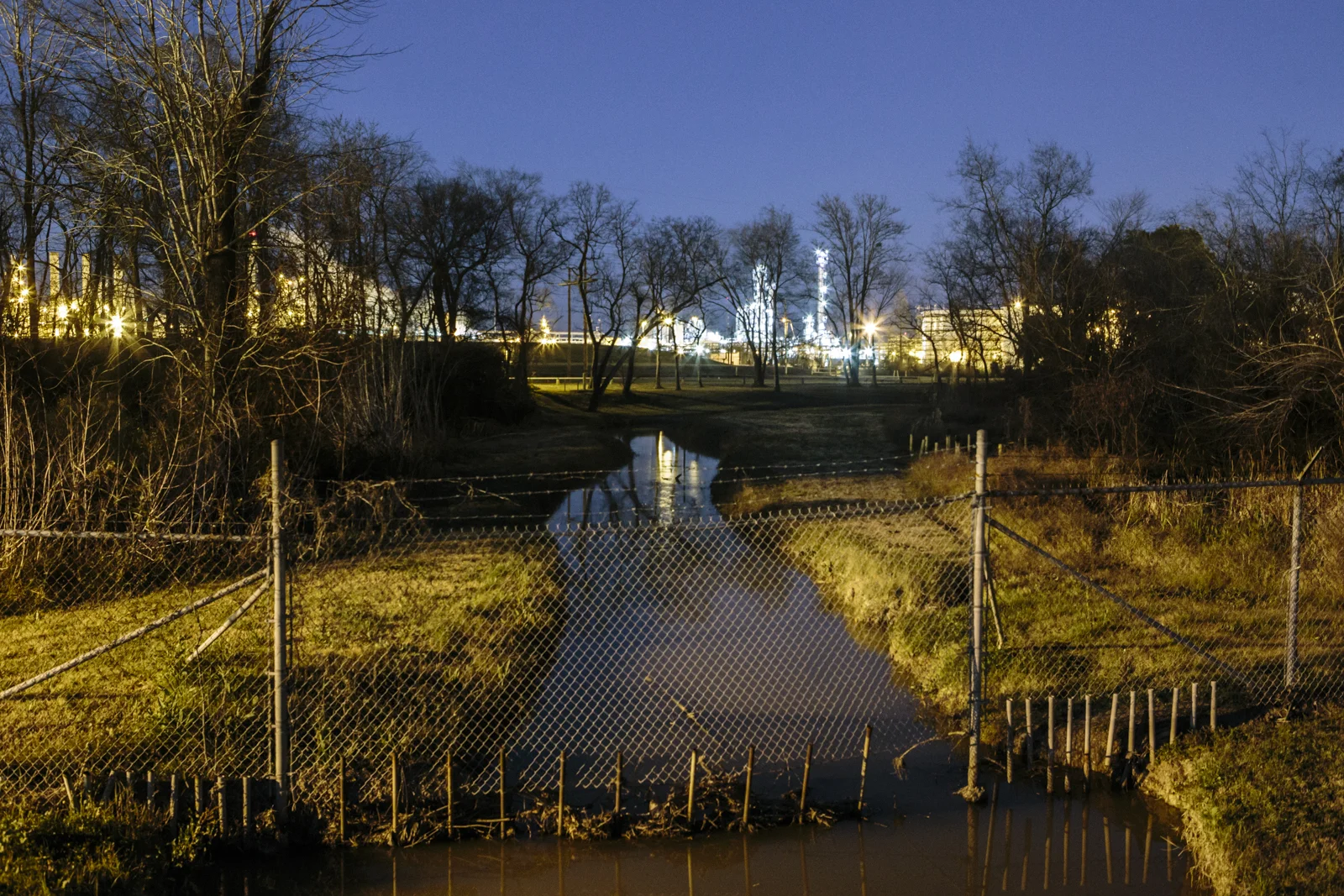 Widmer_MOSSVILLE-14.jpg