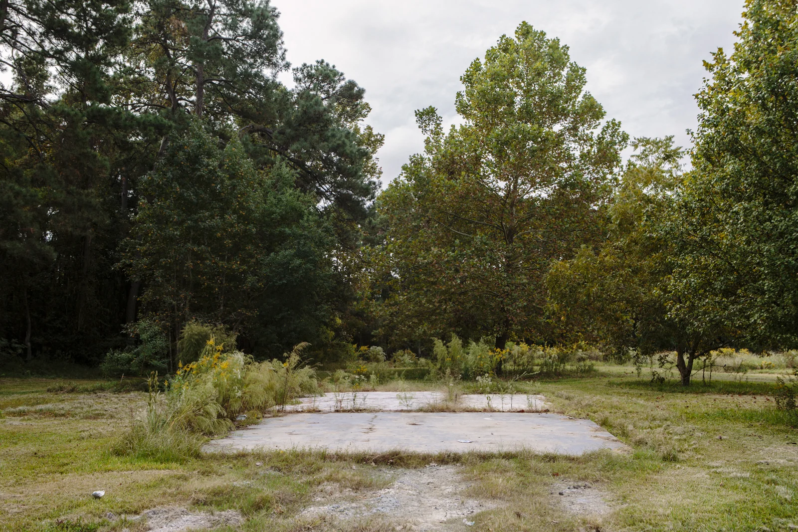 Widmer_MOSSVILLE-31.jpg