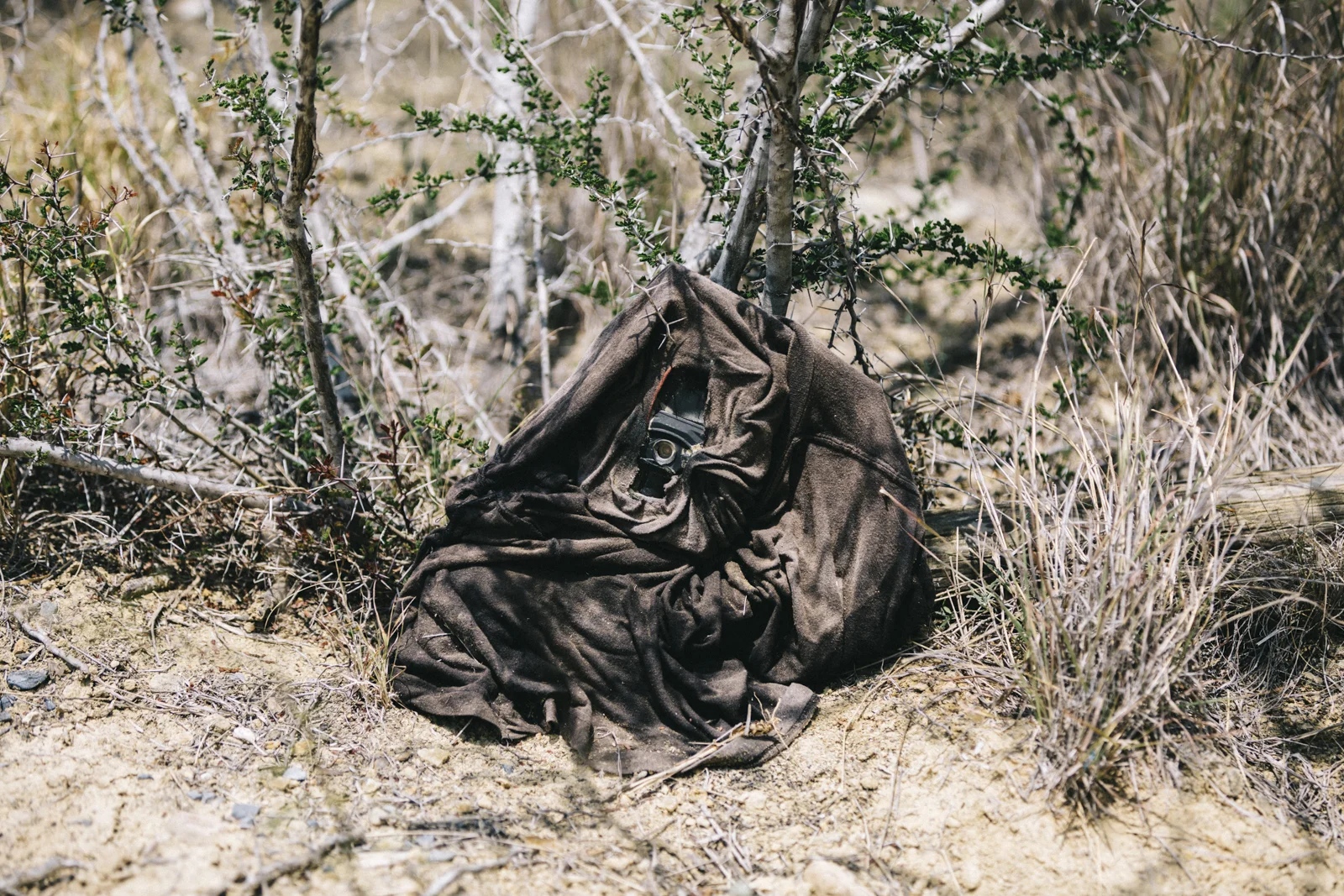 U.S. Customs and Border Protection in Southeast Texas