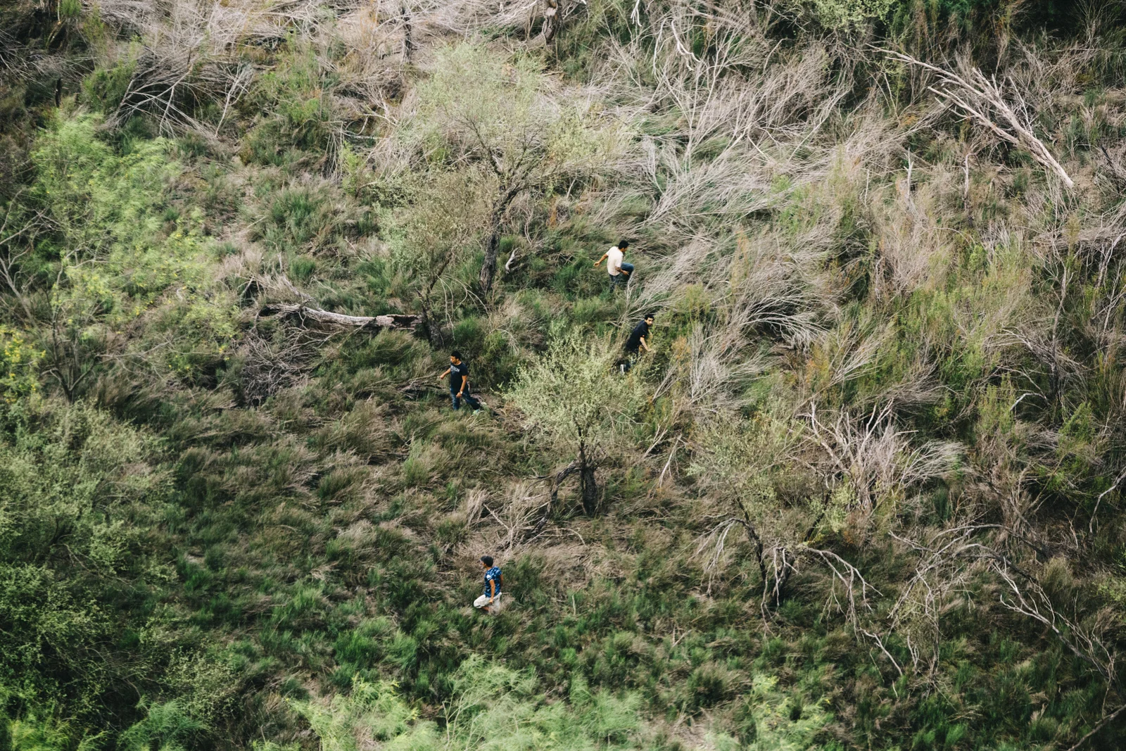 U.S. Customs and Border Protection in Southeast Texas