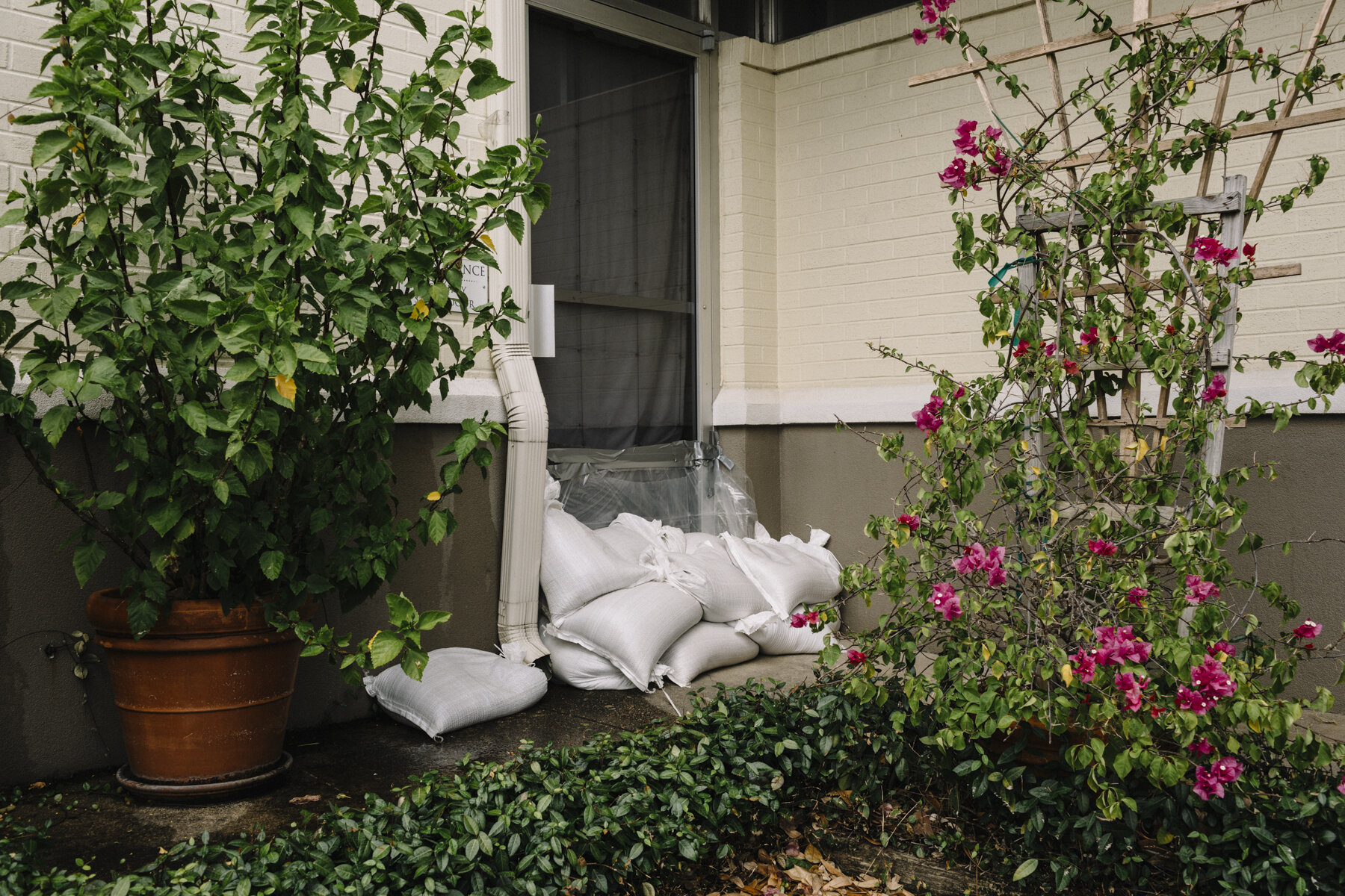  NYTSTORM - Lake Charles, LA - August 25, 2020 - Sandbags block the door of an office building in downtown Lake Charles in advance of Hurricane Laura's arrival. 