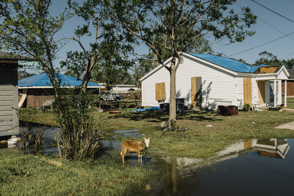  NYTSTORM - Iowa, LA - Oct. 9, 2020 - Small communities like Iowa were hit hard by Hurricane Laura earlier this fall, and barely had a chance to begin the clearing and rebuilding process before Hurricane Delta swept through, knocking down trees and p