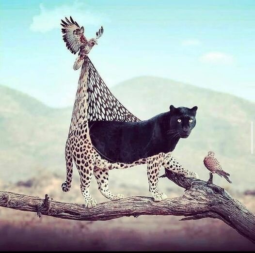 Into the depths of our Underworld 