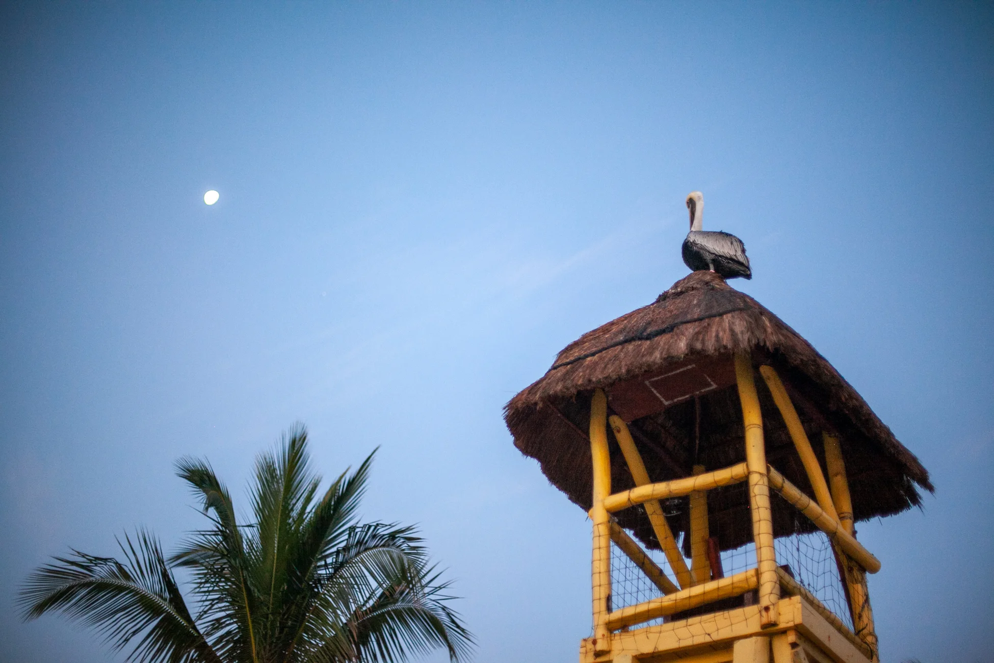 Tourism and Hospitality Travel Photography by Avi Loren Fox LLC-23.jpg