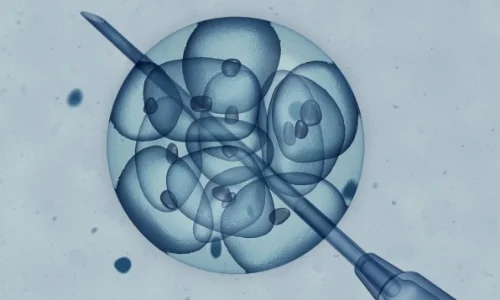 Embryonic Stem Cell Research-Human Cloning.jpg