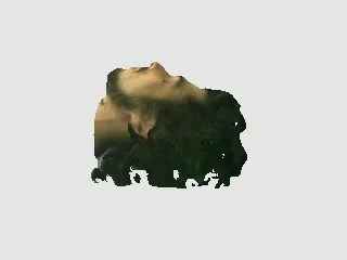 qqq.jpg