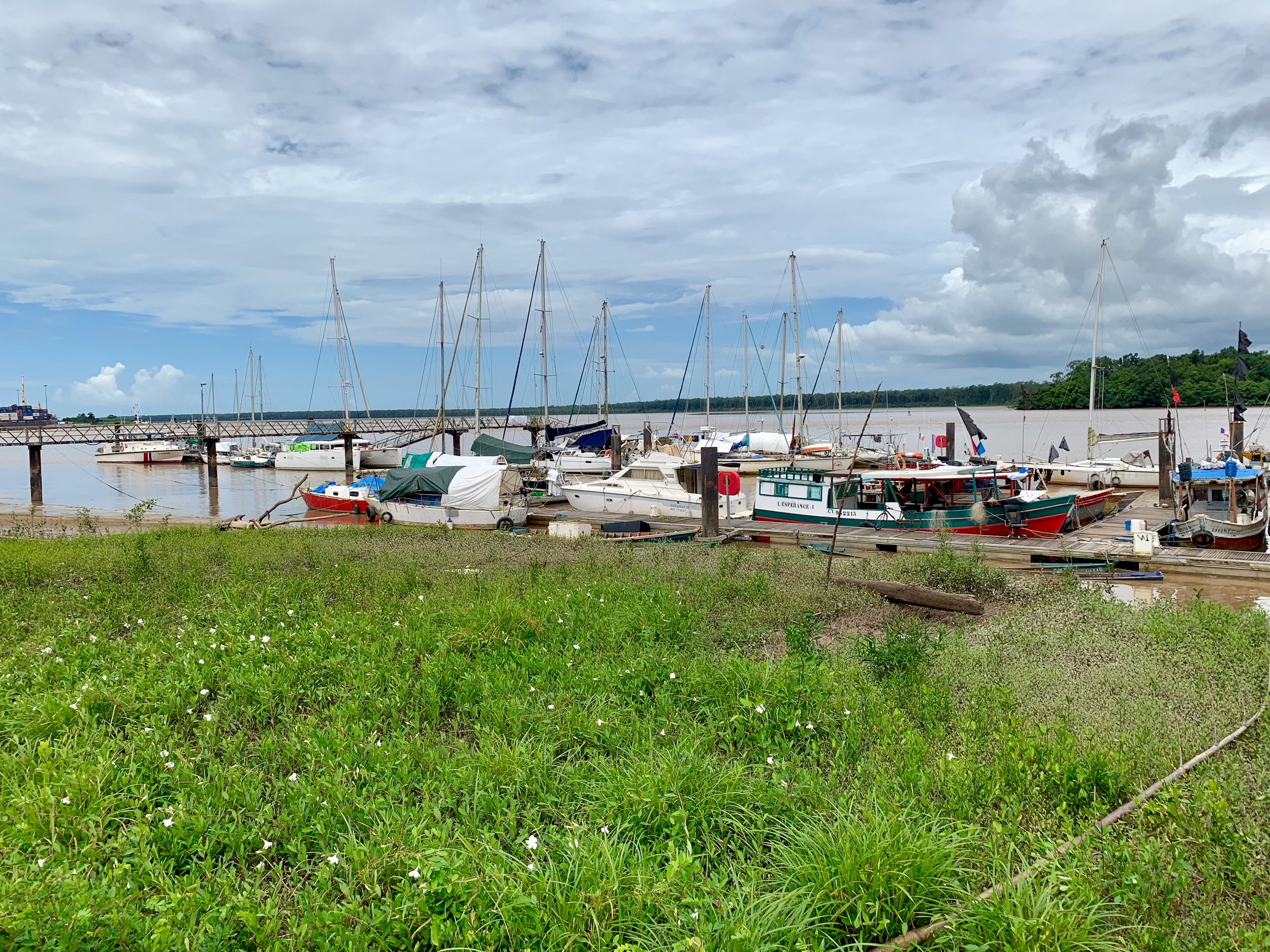 IMG_0570.jpg