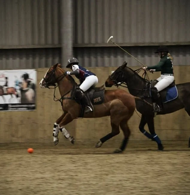 MHF at University Winter Nationals 2018