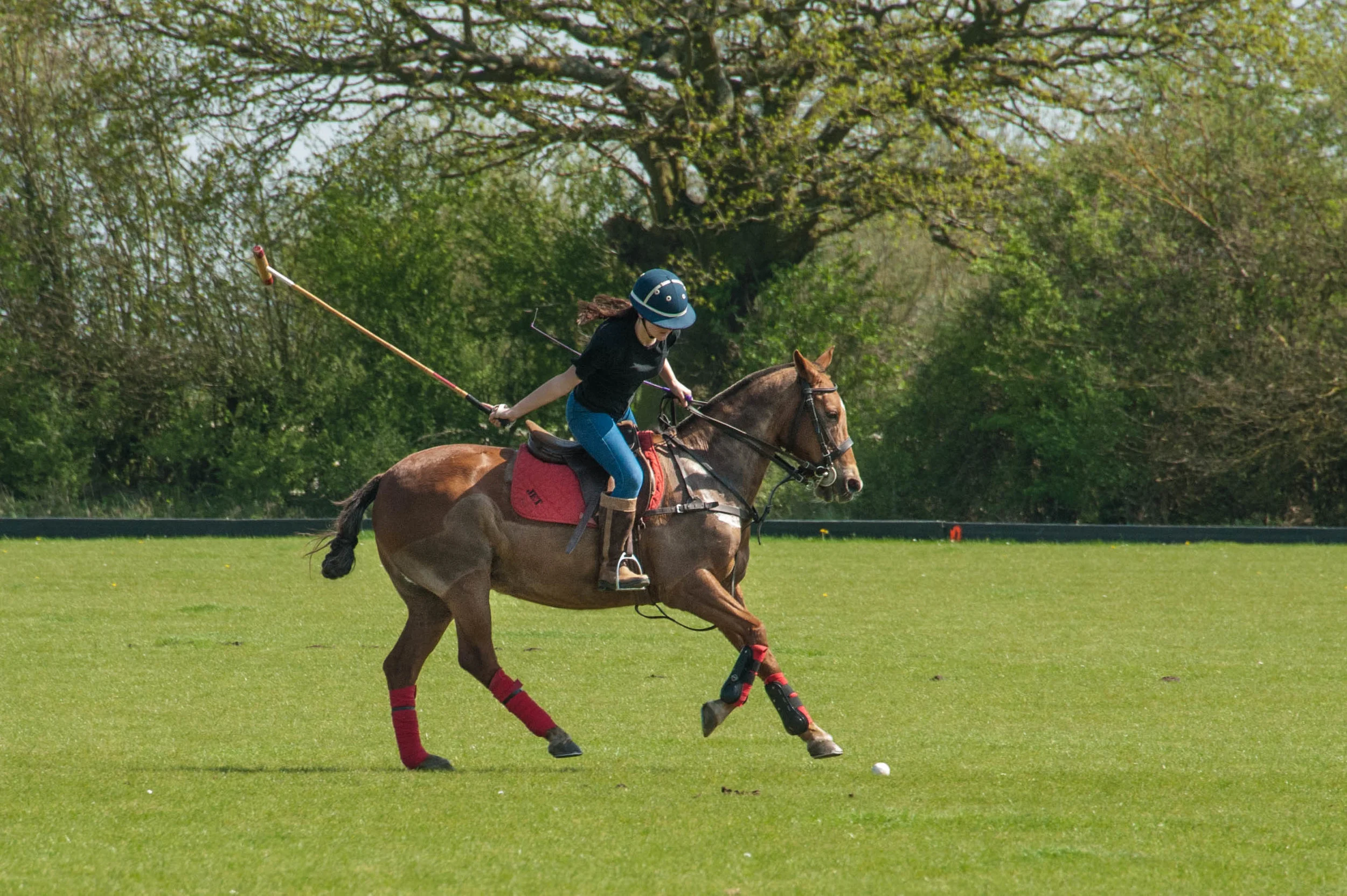 Summer Academy Evenings at Silver Leys