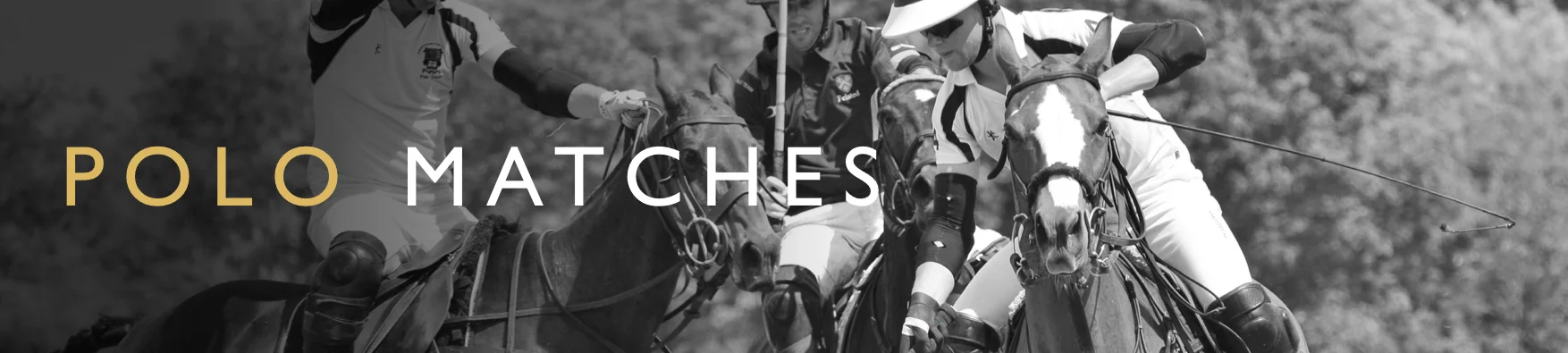 Polo Matches web banner JPEG.jpg