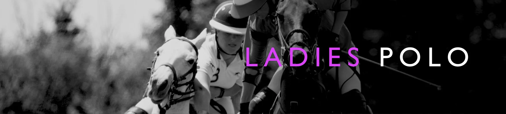Ladies Polo Banner JPEG.jpg