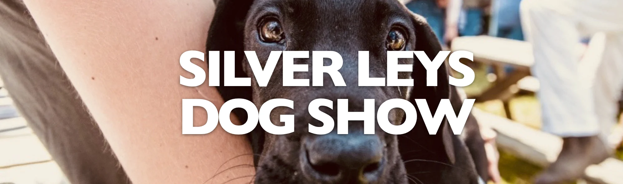 Dog Show Banner JPEG.jpg