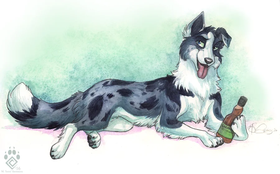 Whiskey Collie