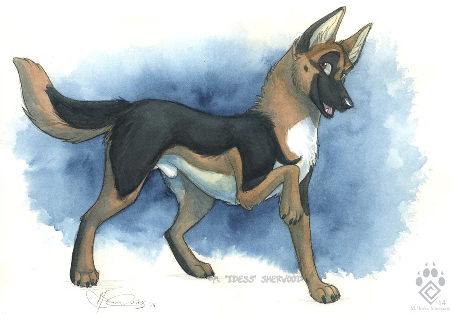 North Shepherd