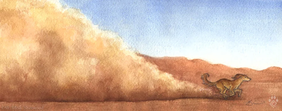 Desert Runner
