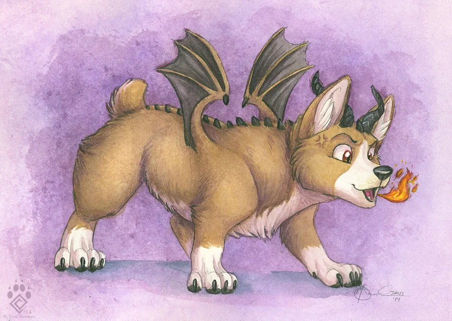 Drakorgis