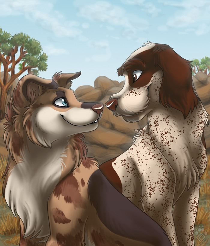 Desert Dog Devotion