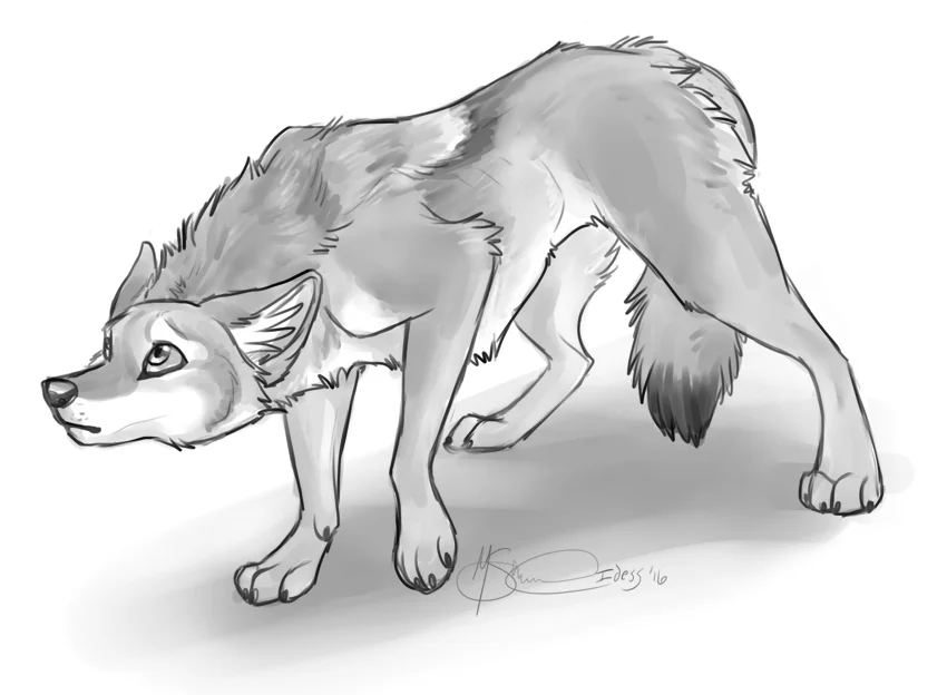 Digital Patreon Sketch
