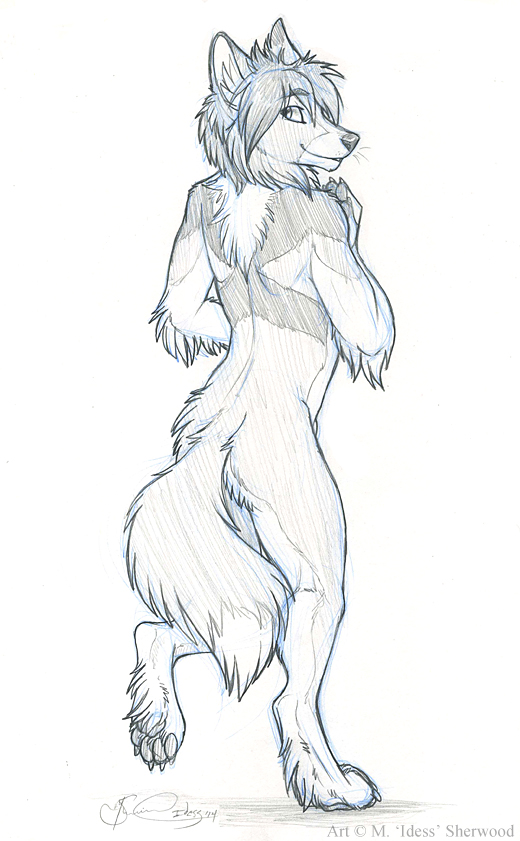 Traditional Sketch
