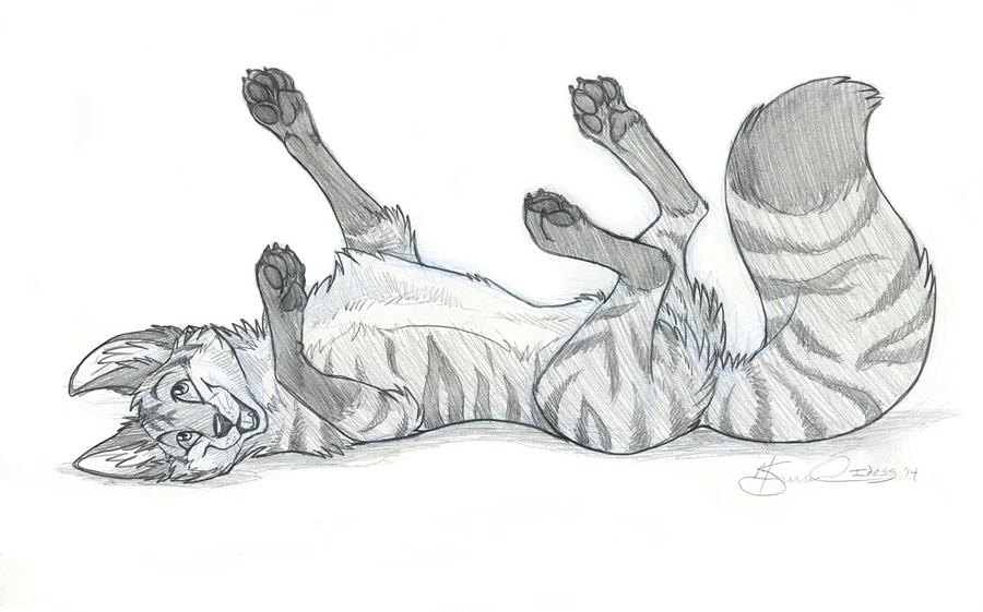 Traditional Sketch