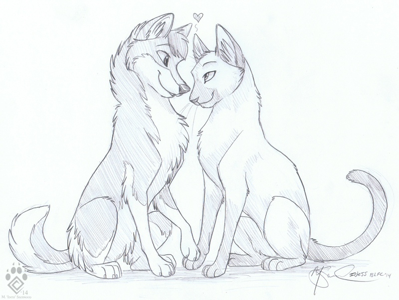Traditional Sketch