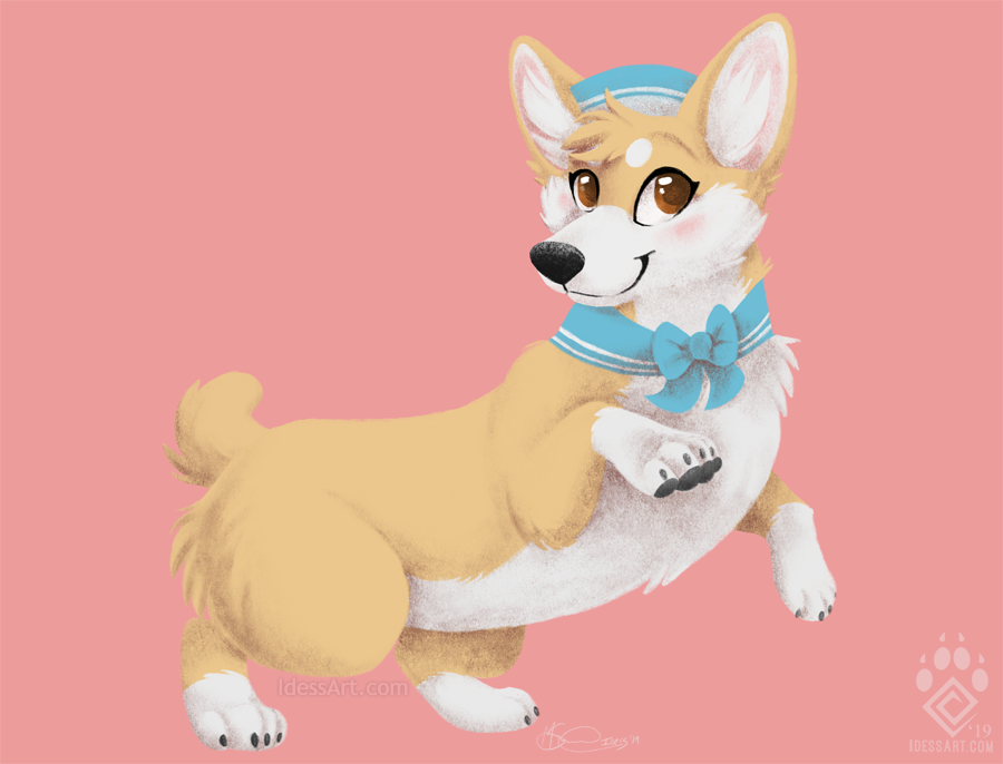 Corgicw Lineless
