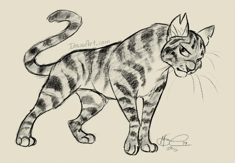 Digital Sketch