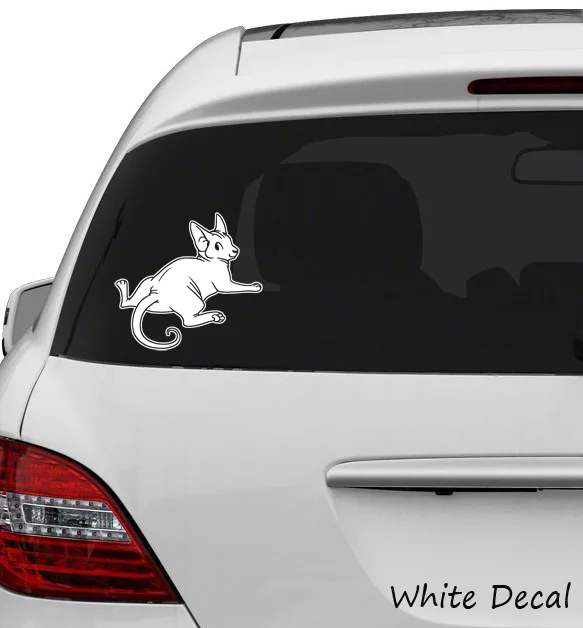 CarDecal_Arch_White.jpg