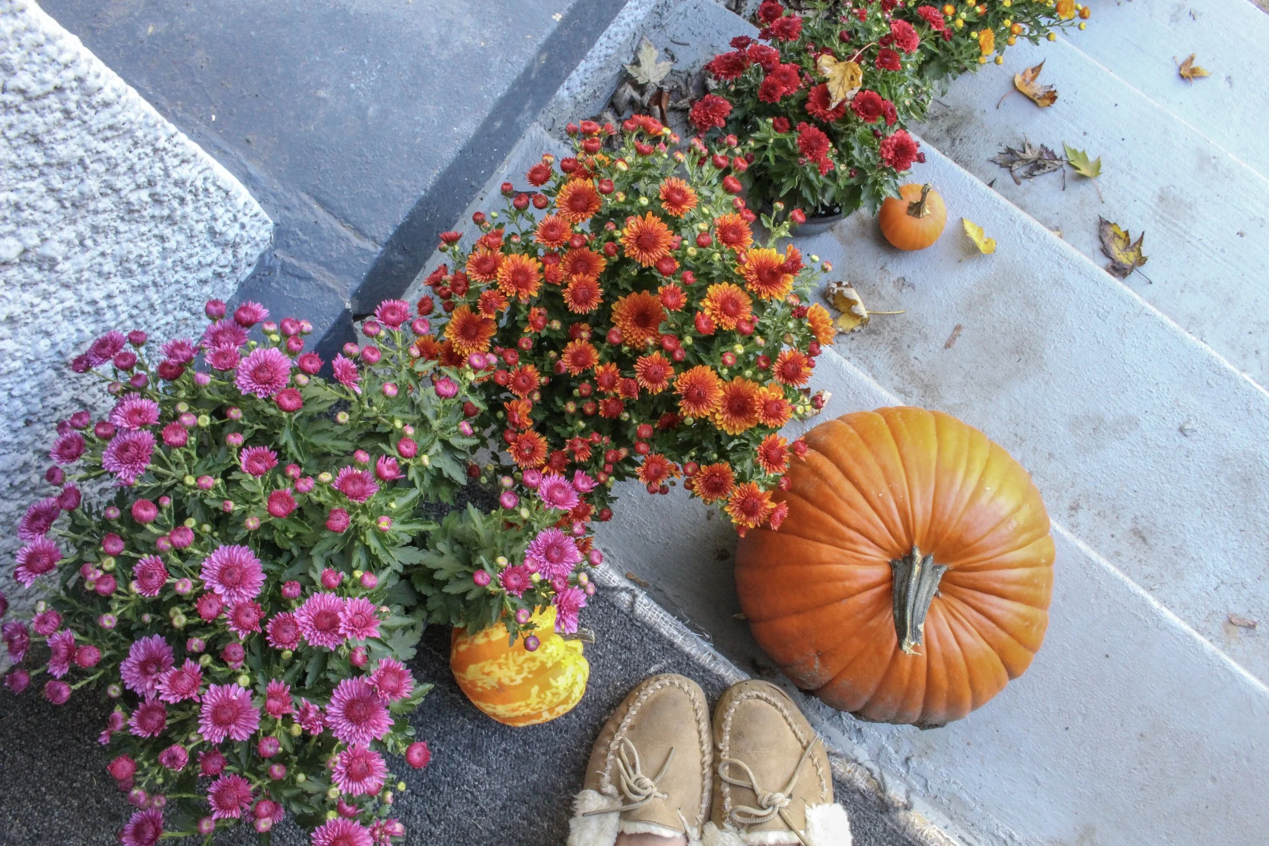 Fall Porch Steps