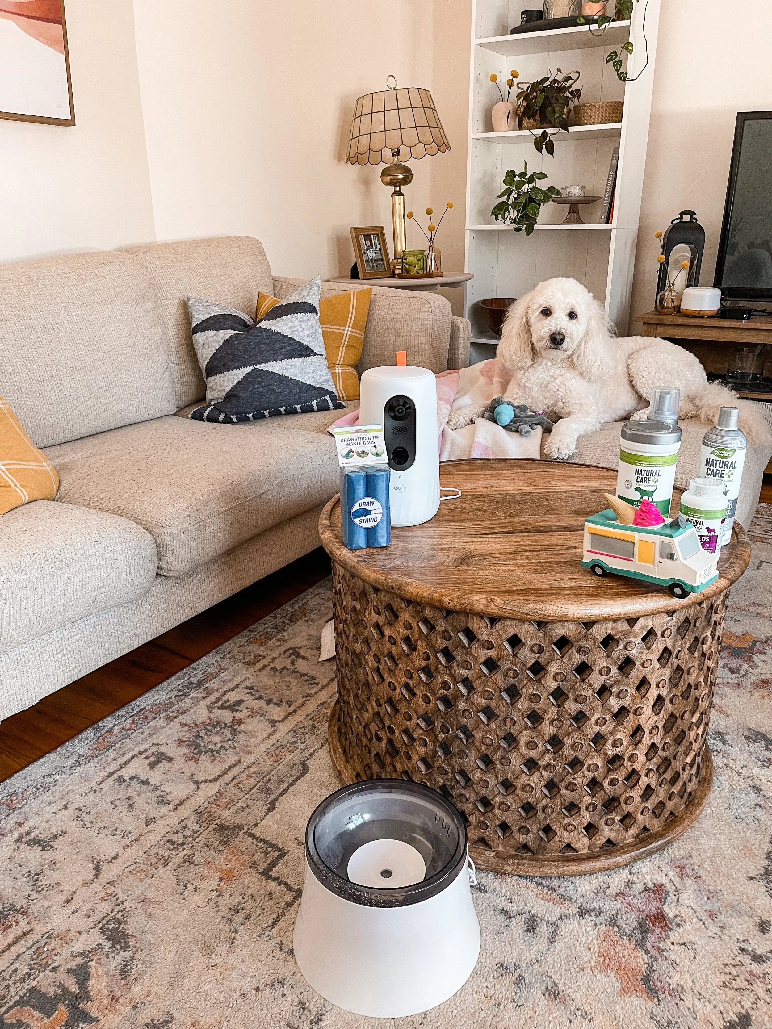 Pet Favorites for the Spring