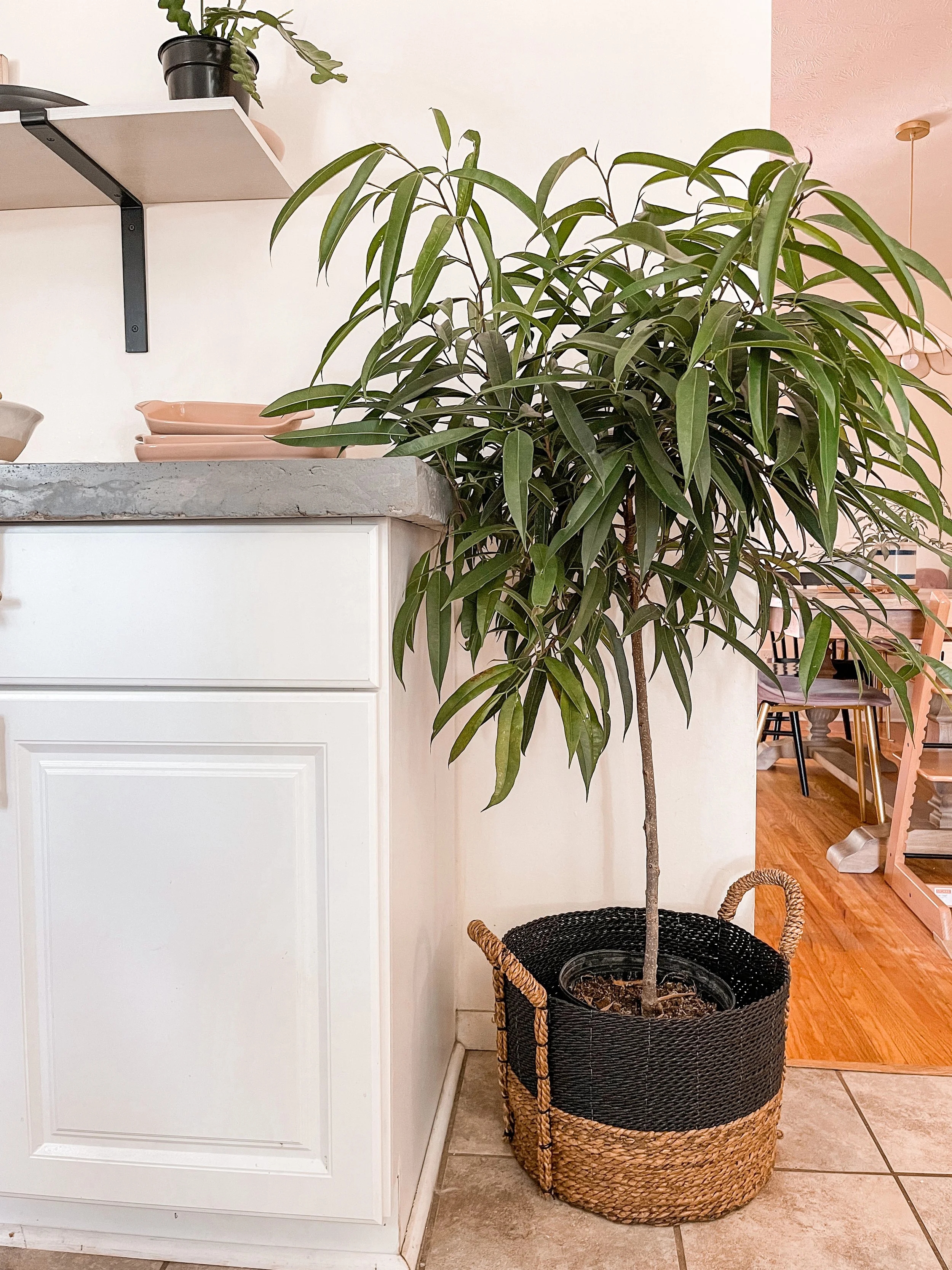 Try the Trend: Basket Planters