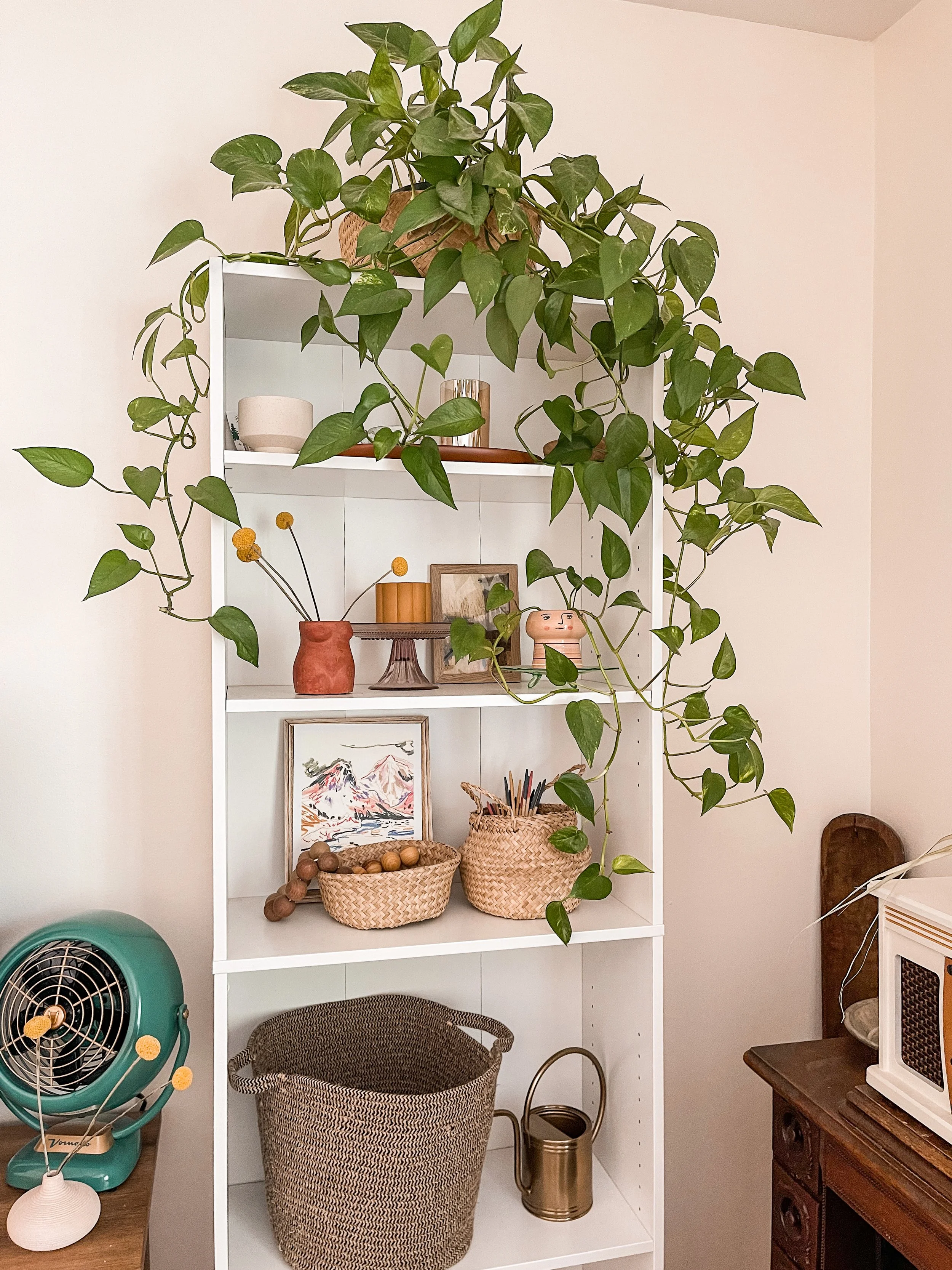 5 Things to Decorate Shelves With