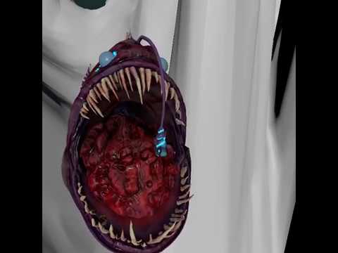 Angler Fish Bite