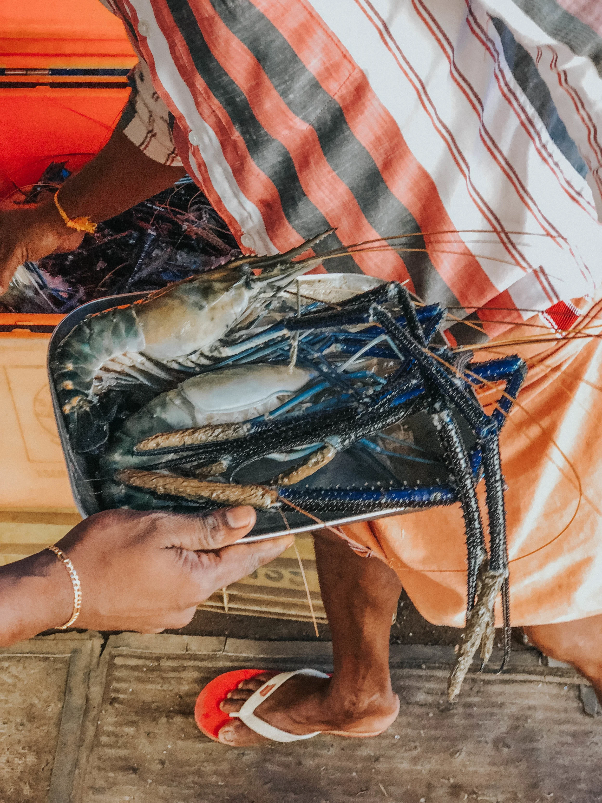 Prawns in Kerala 