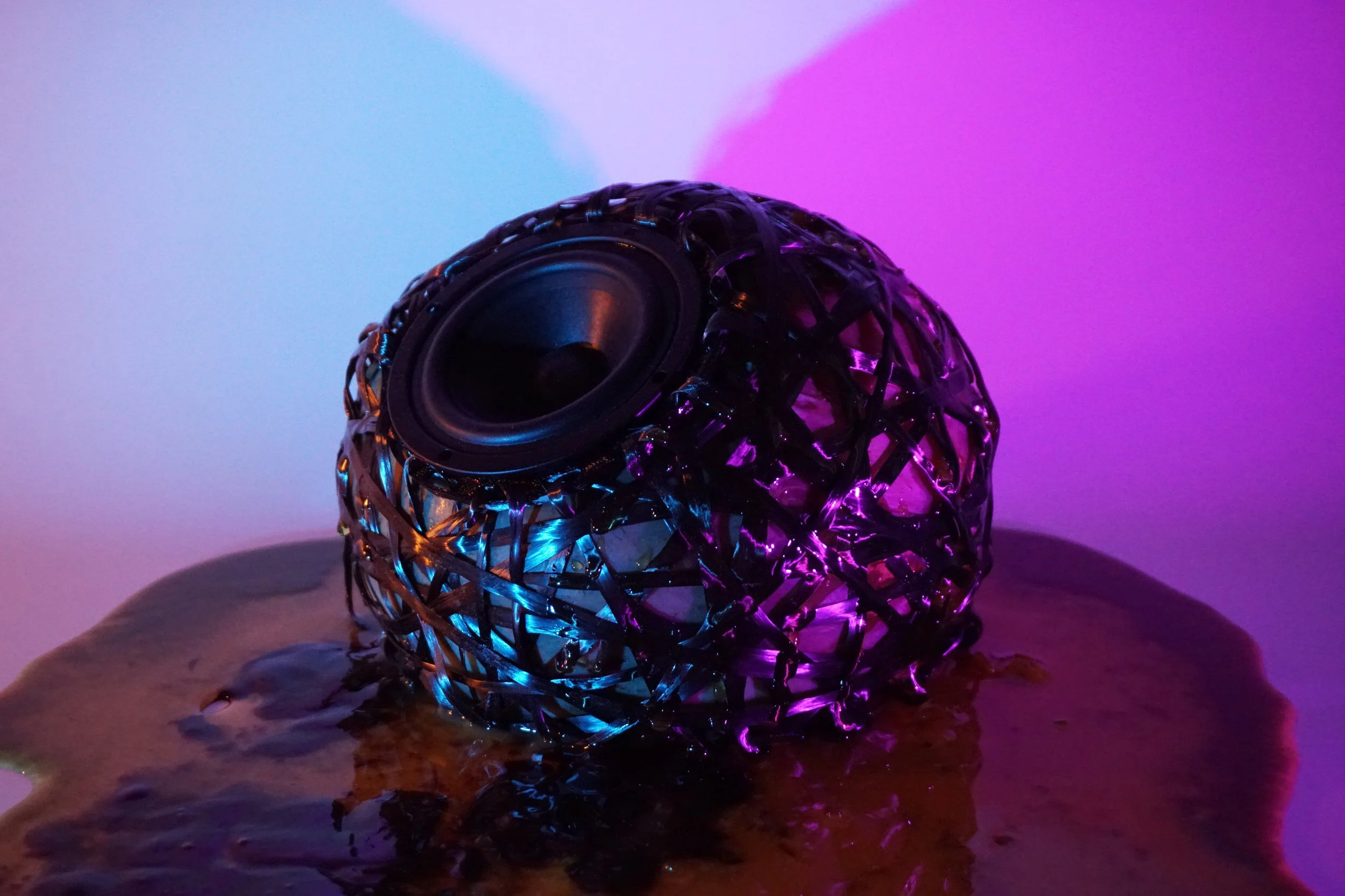 Leaving Space for the Non-Human: In Conversation with Mariana Ibañez and Simon Kim