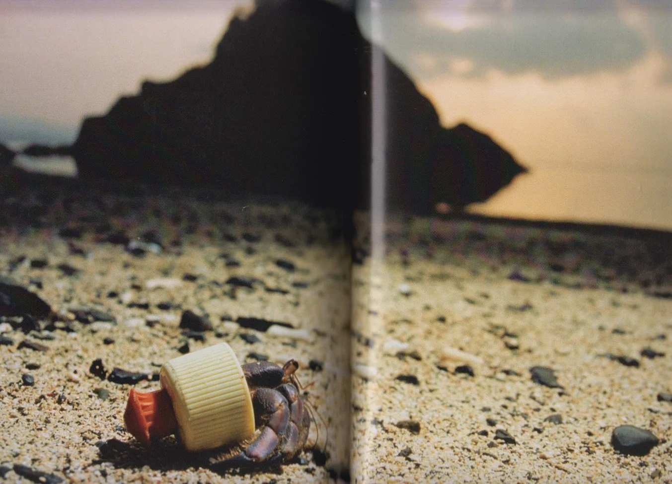 And the Hermit Crab