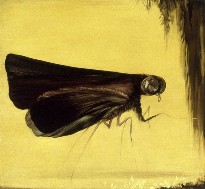 Moth - 2004, oil on birch panel, 2004 Oil on birch panel, 19h x 17.5w in.