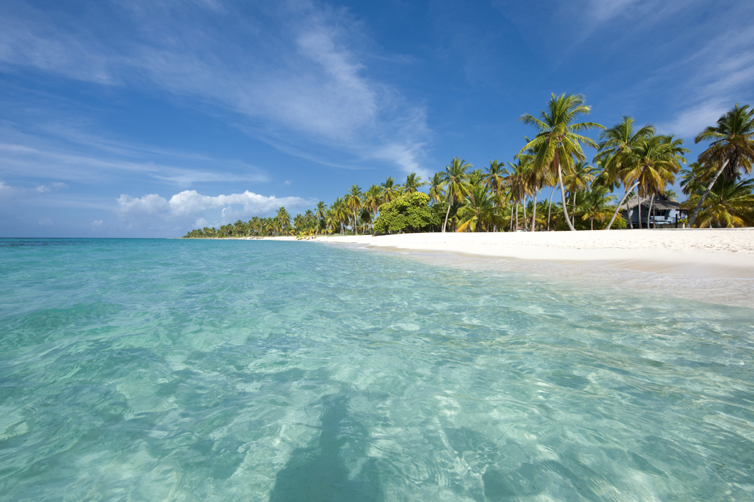 Excursion Isla Saona_3.jpg
