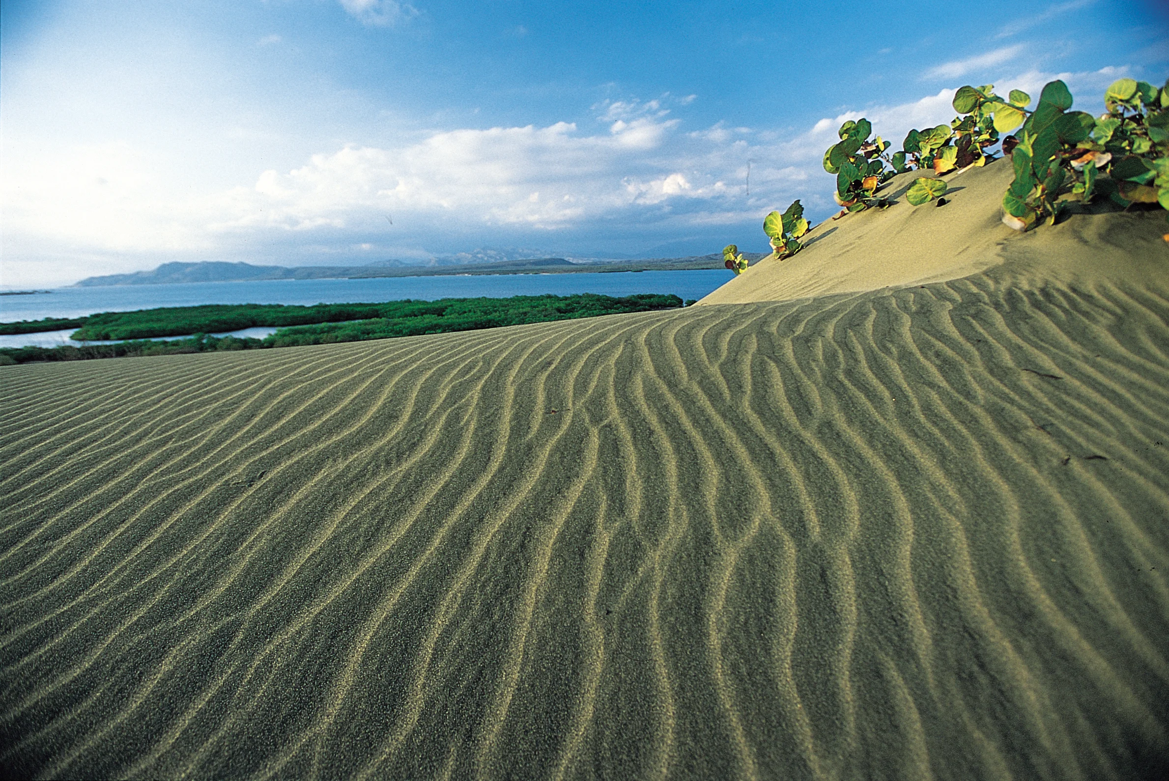 Dunas de Baní_2 (1).jpg