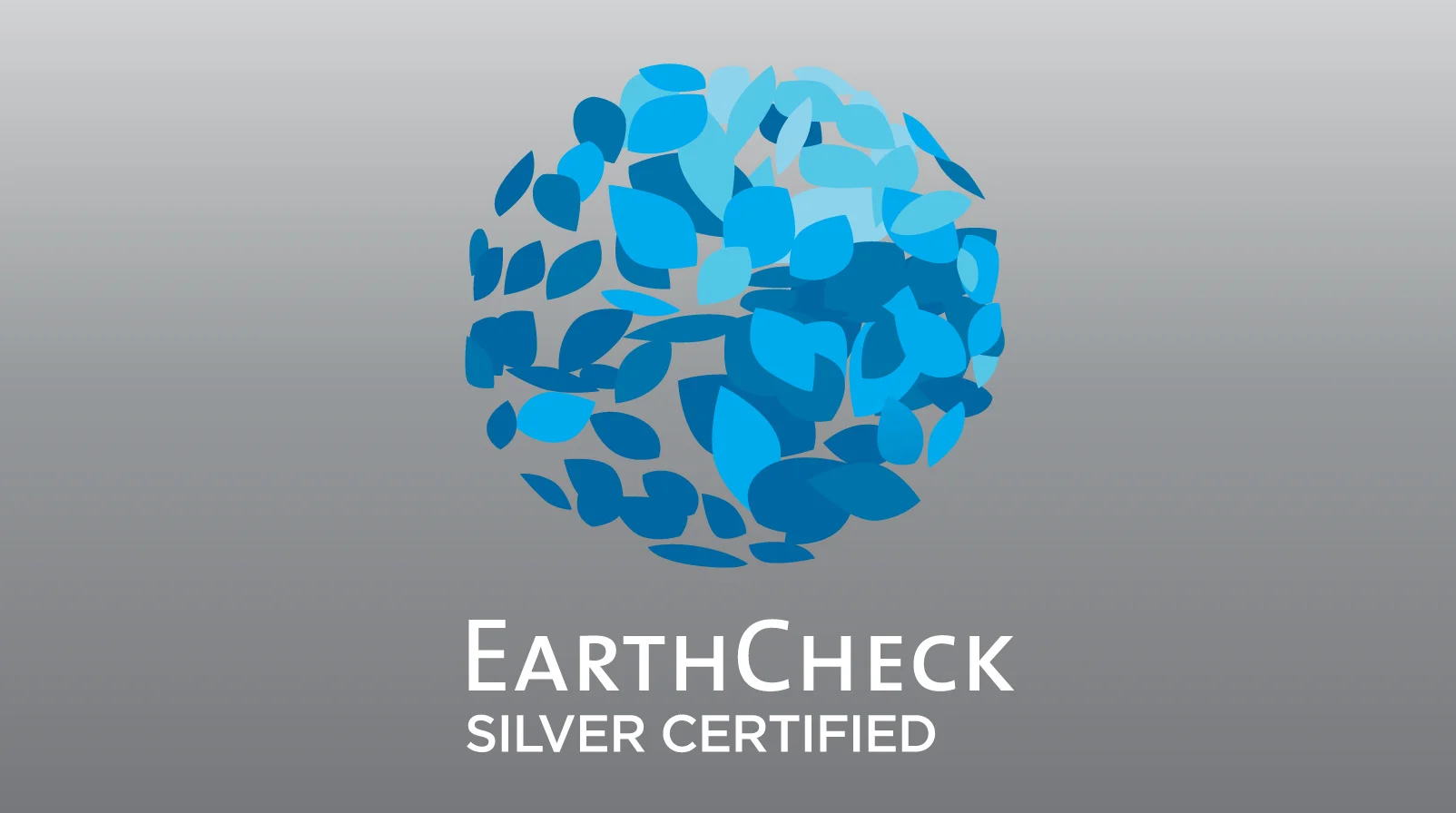 silverearthcheck.jpg