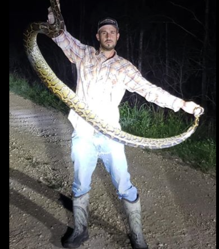 North Caroline Eastern Hognose Zombie Snake Plays Dead