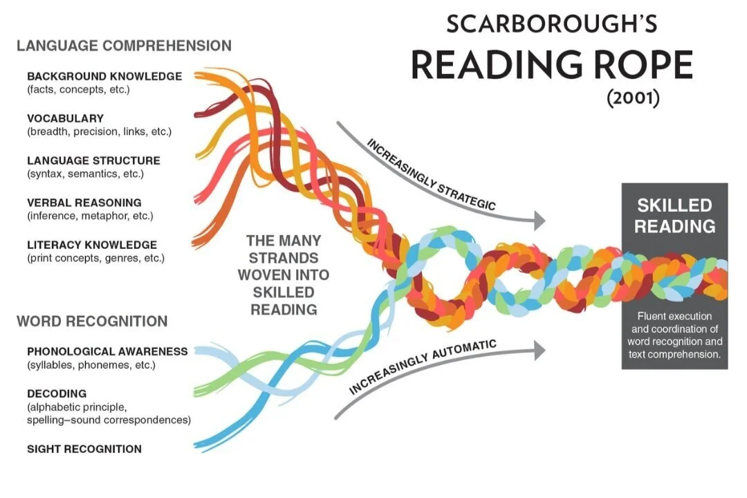 What is the Science of Reading? — Smarten Up
