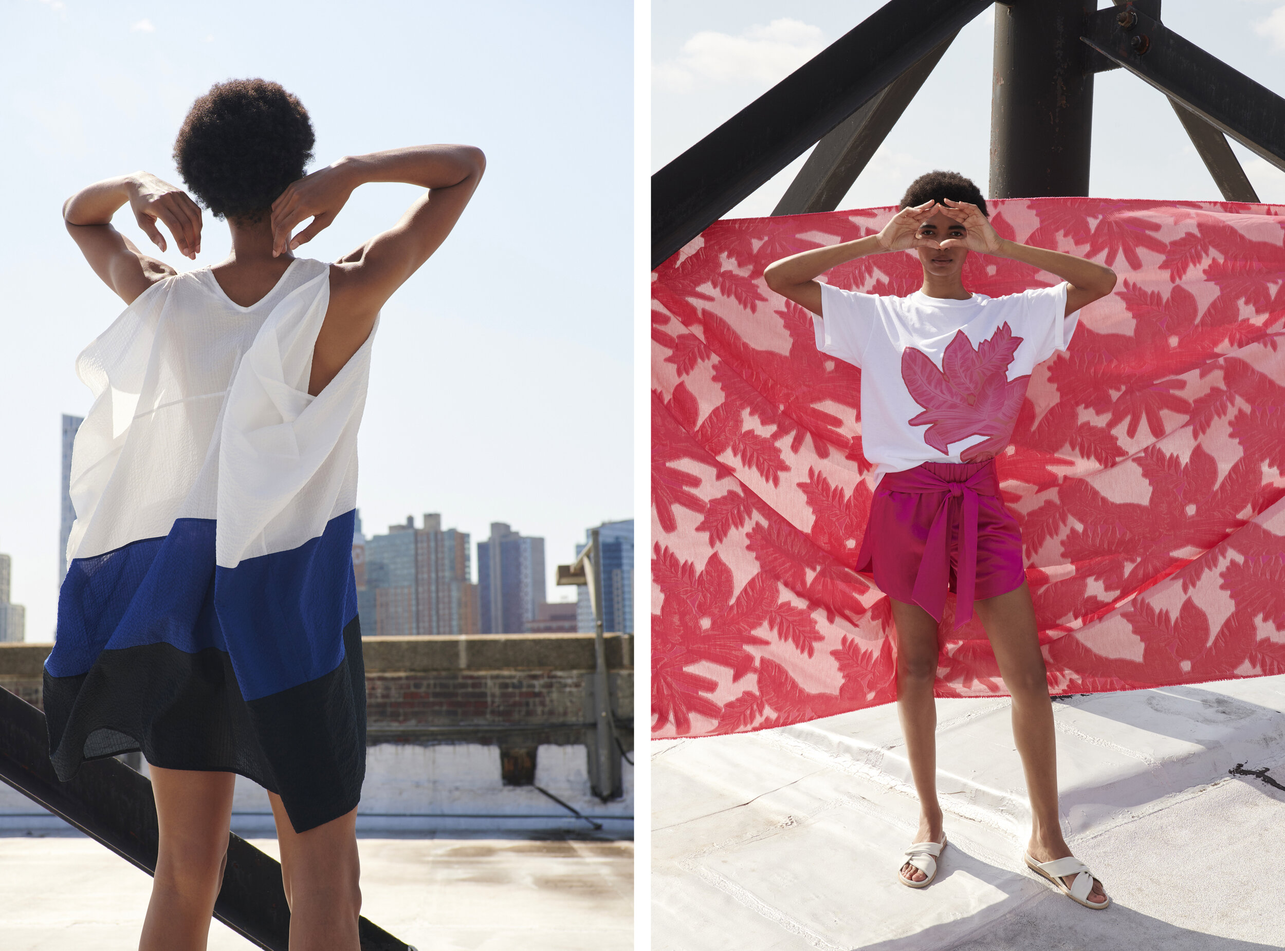ZMC_SS21_Diptych_PinkPattern_CobaltSkyline_01.jpg