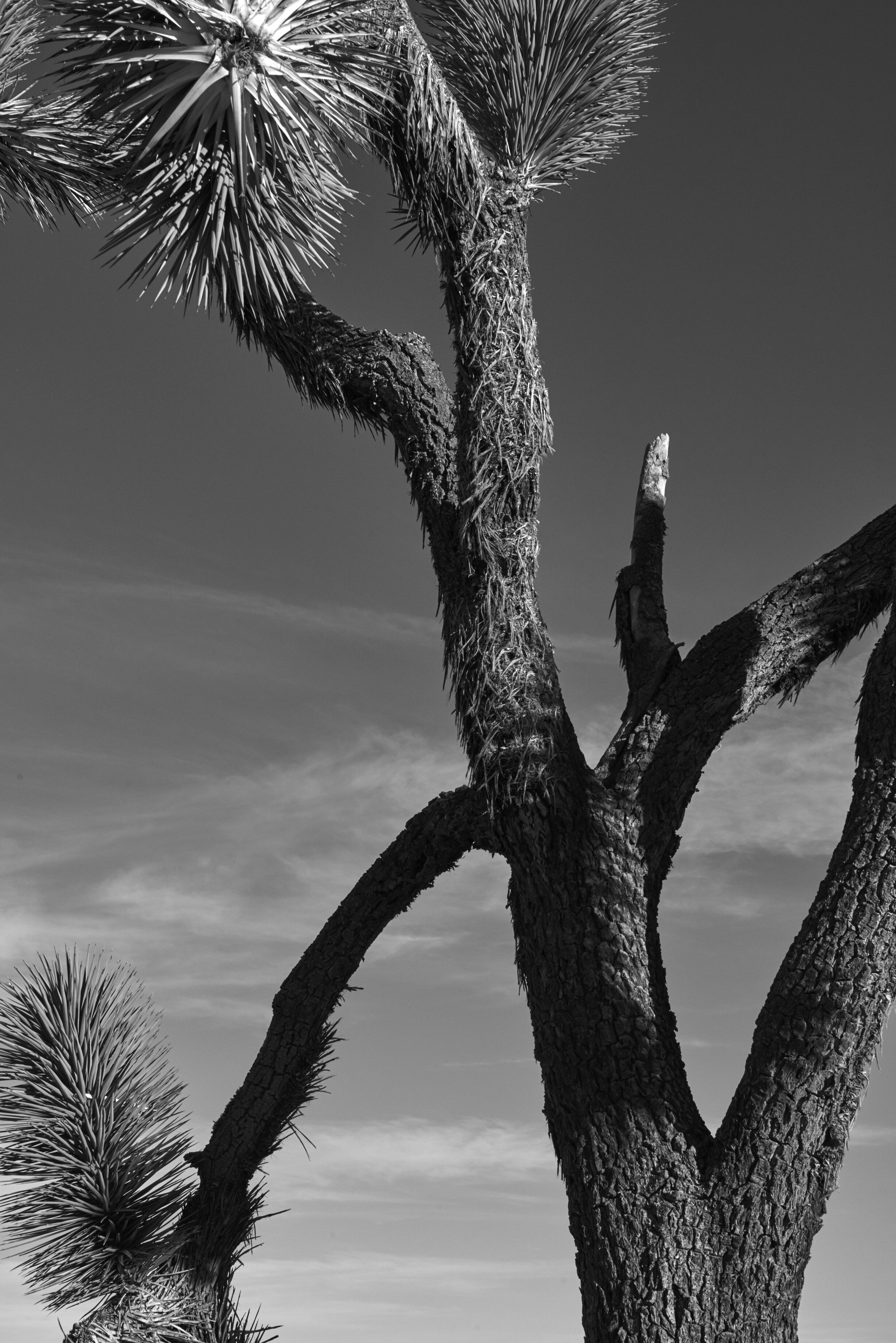 Reportage_049 BW.jpeg
